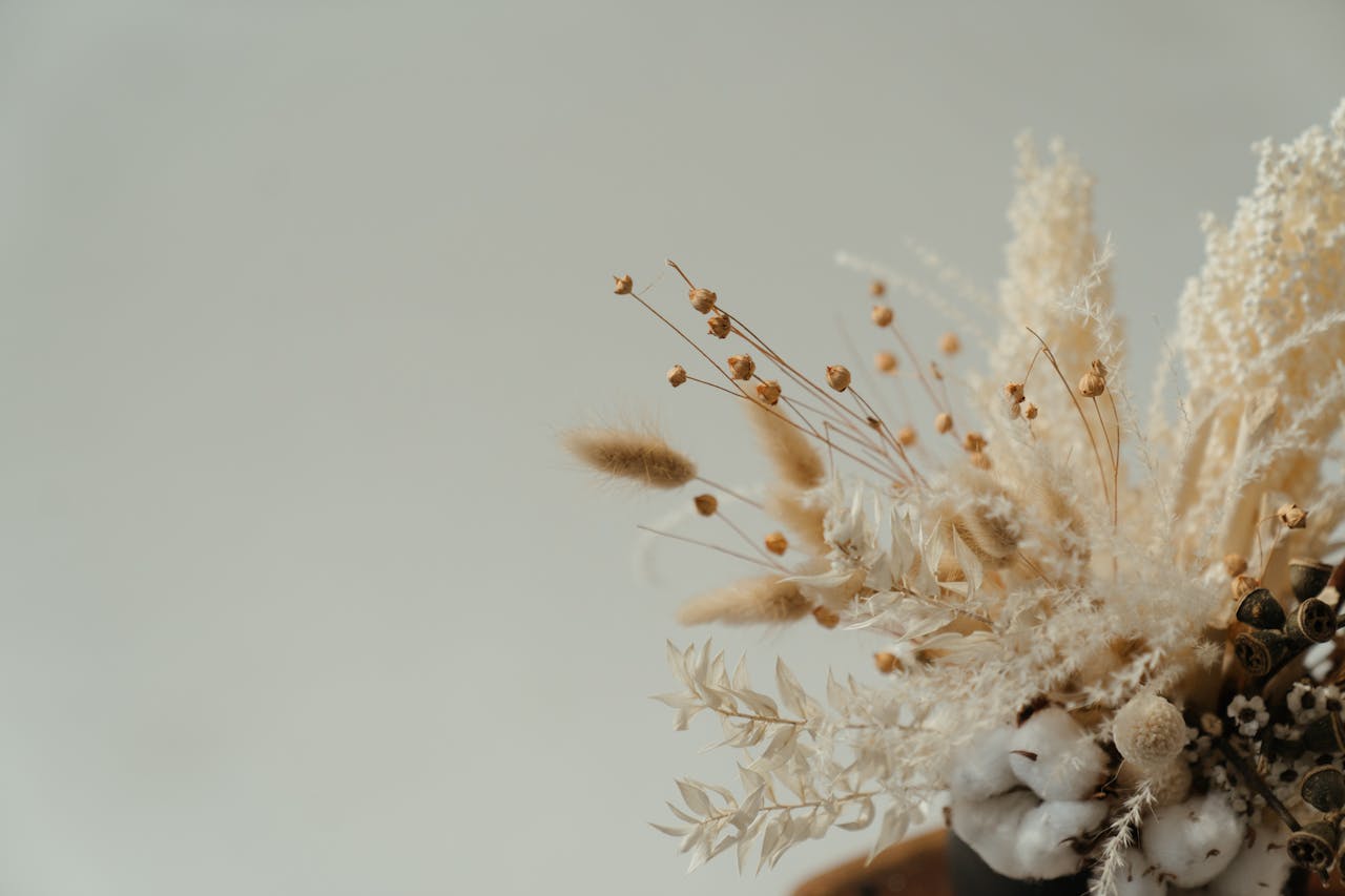 Aesthetic still life composition featuring a variety of dried flowers and cotton buds.